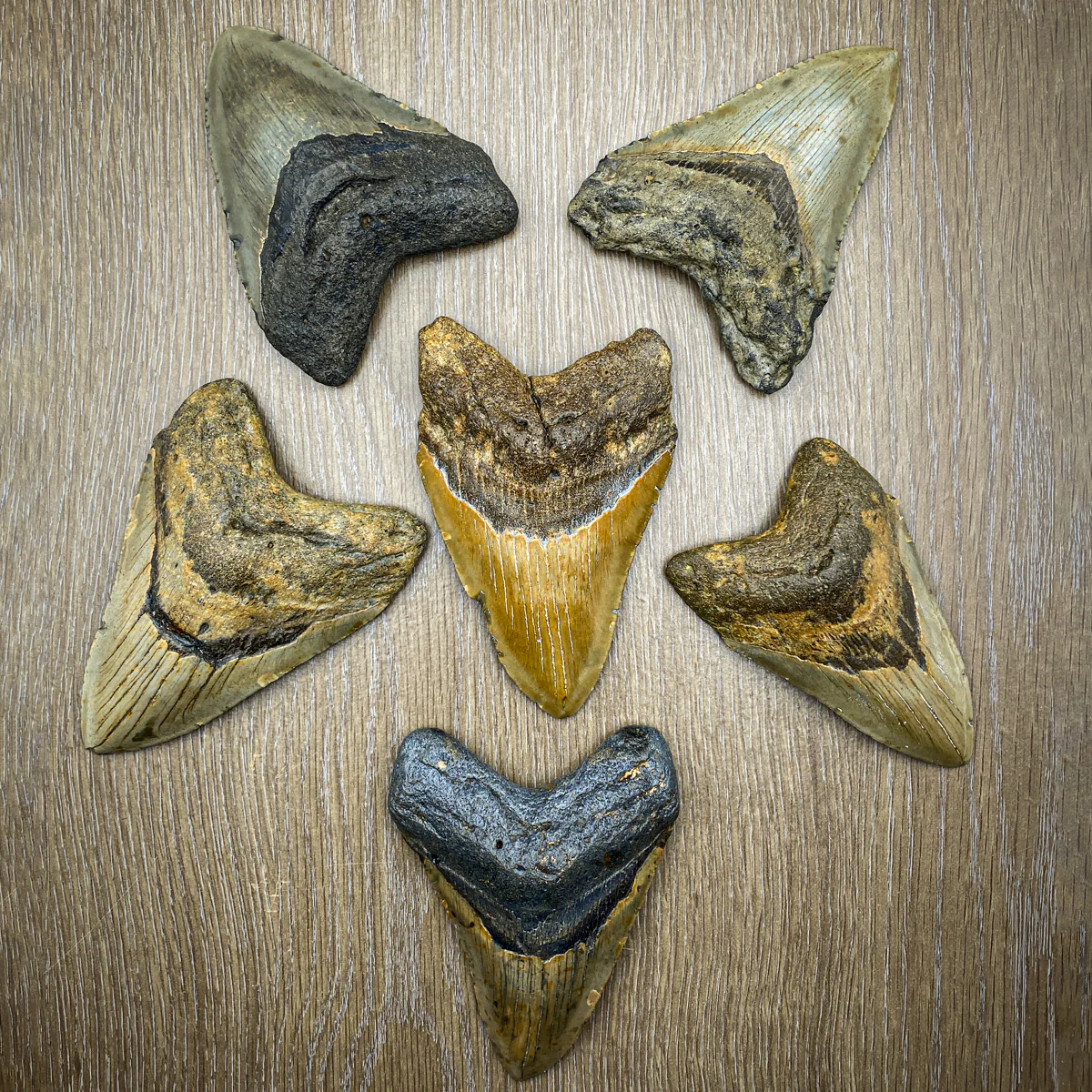 Product image 21